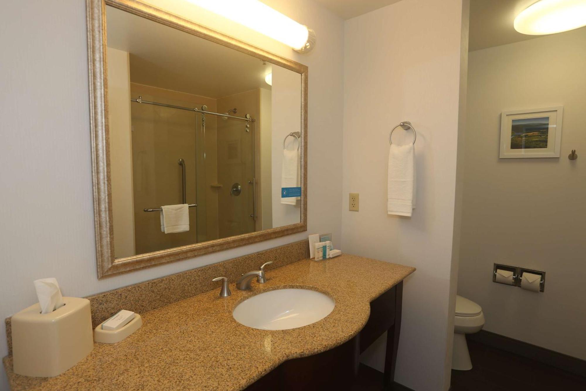Hampton Inn Owego Екстер'єр фото